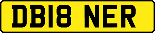 DB18NER