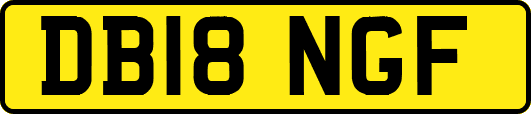 DB18NGF