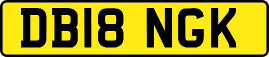 DB18NGK