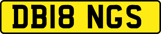 DB18NGS