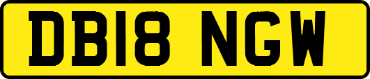 DB18NGW