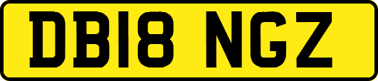 DB18NGZ
