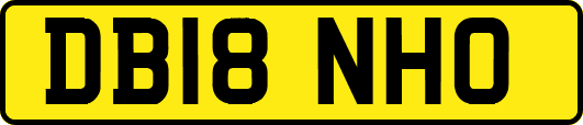 DB18NHO