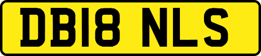 DB18NLS