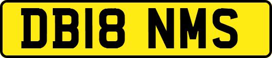 DB18NMS