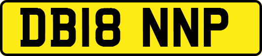 DB18NNP