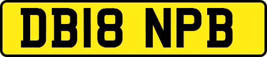 DB18NPB