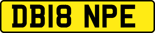 DB18NPE