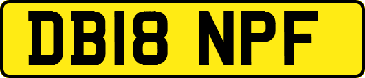 DB18NPF