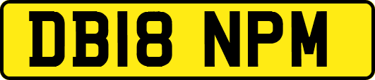 DB18NPM
