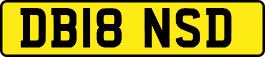 DB18NSD