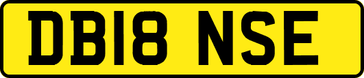 DB18NSE