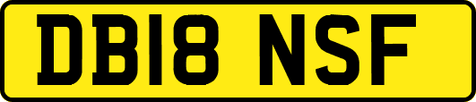 DB18NSF