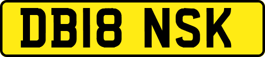 DB18NSK