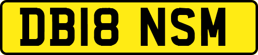 DB18NSM