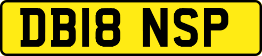 DB18NSP