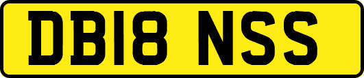 DB18NSS