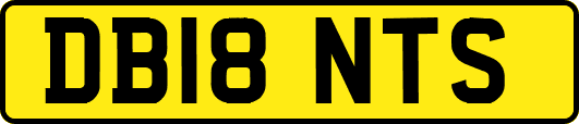DB18NTS