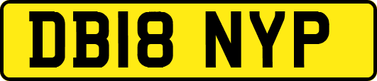 DB18NYP