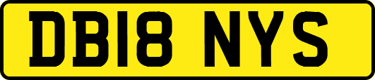 DB18NYS