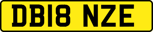 DB18NZE