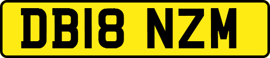 DB18NZM