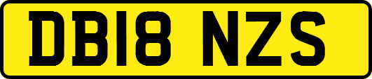DB18NZS