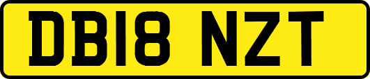 DB18NZT