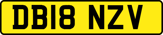 DB18NZV