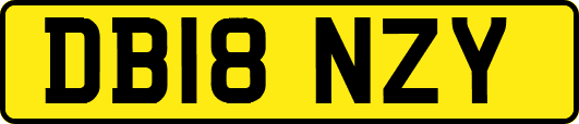 DB18NZY