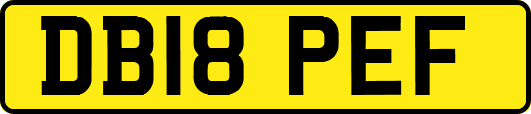 DB18PEF