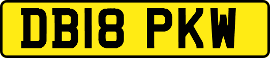 DB18PKW
