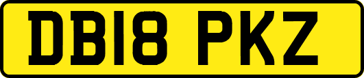 DB18PKZ