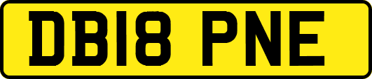 DB18PNE