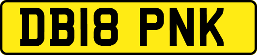 DB18PNK