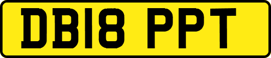 DB18PPT
