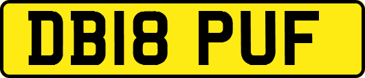 DB18PUF