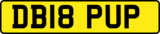 DB18PUP