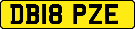 DB18PZE