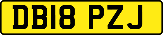 DB18PZJ