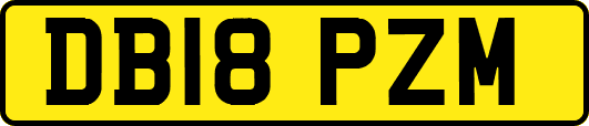 DB18PZM