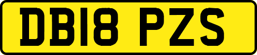 DB18PZS