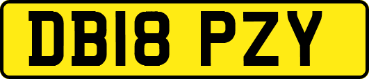 DB18PZY