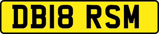 DB18RSM