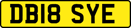 DB18SYE