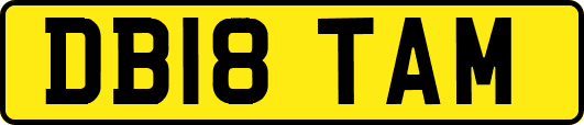 DB18TAM
