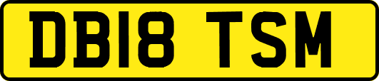 DB18TSM