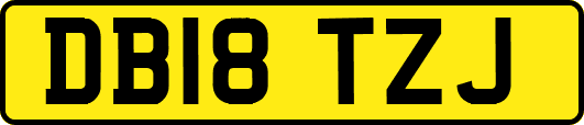 DB18TZJ