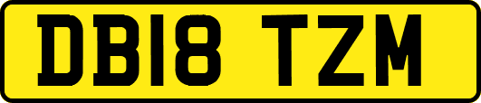 DB18TZM