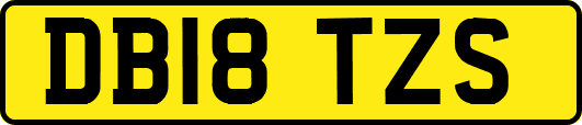 DB18TZS
